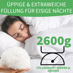 Welldora Komfort Bettdecke Winter mit Daunen & Federn.