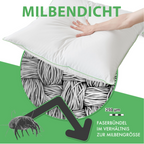 Welldora OmniDream 3-Kammer Premium Kopfkissen mit Daunen.