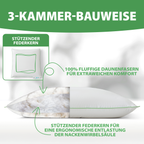 Welldora OmniDream 3-Kammer Premium Kopfkissen mit Daunen.