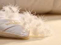 Feine Daunen der Welldora Signature Daunendecke